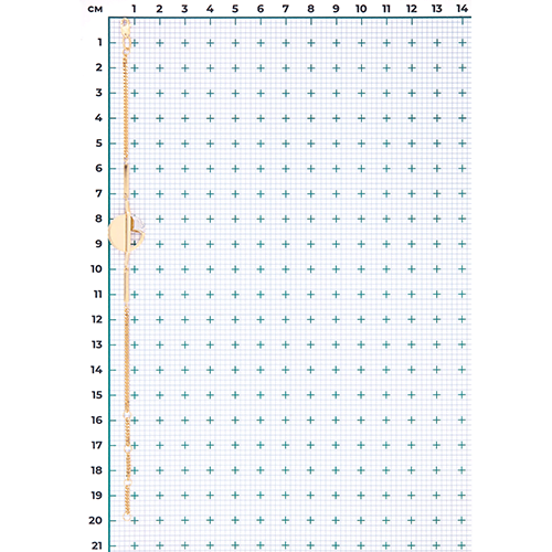 Браслет из комбинированного золота 05-0753-00-000-1121