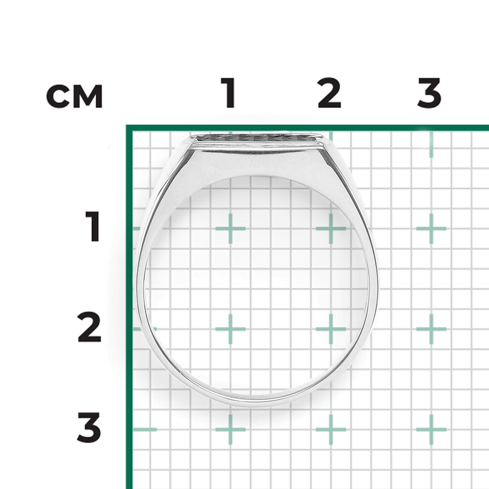 Печатка из белого золота 01-4710-00-000-1120-22