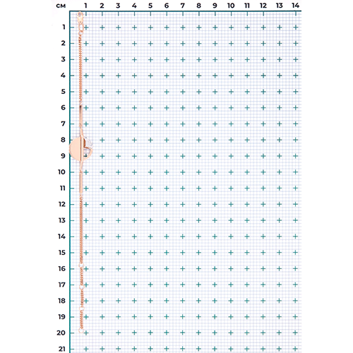 Браслет из комбинированного золота 05-0753-00-000-1111